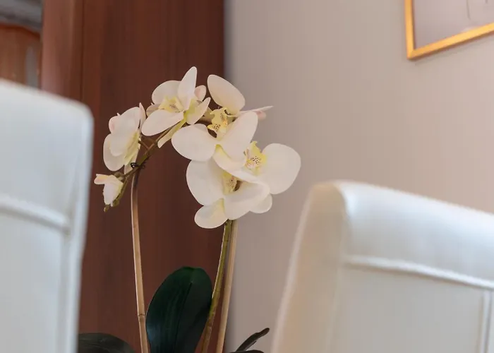 Apartament Anita